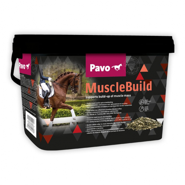Pavo MuscleBuild 3kg MHD 30.09.2023